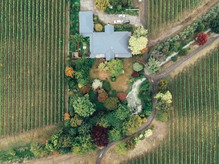 Aerial shot of a vineyard and house in autumn, showcasing colorful foliage and rows of vines.