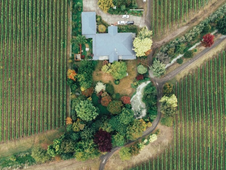 Aerial shot of a vineyard and house in autumn, showcasing colorful foliage and rows of vines.