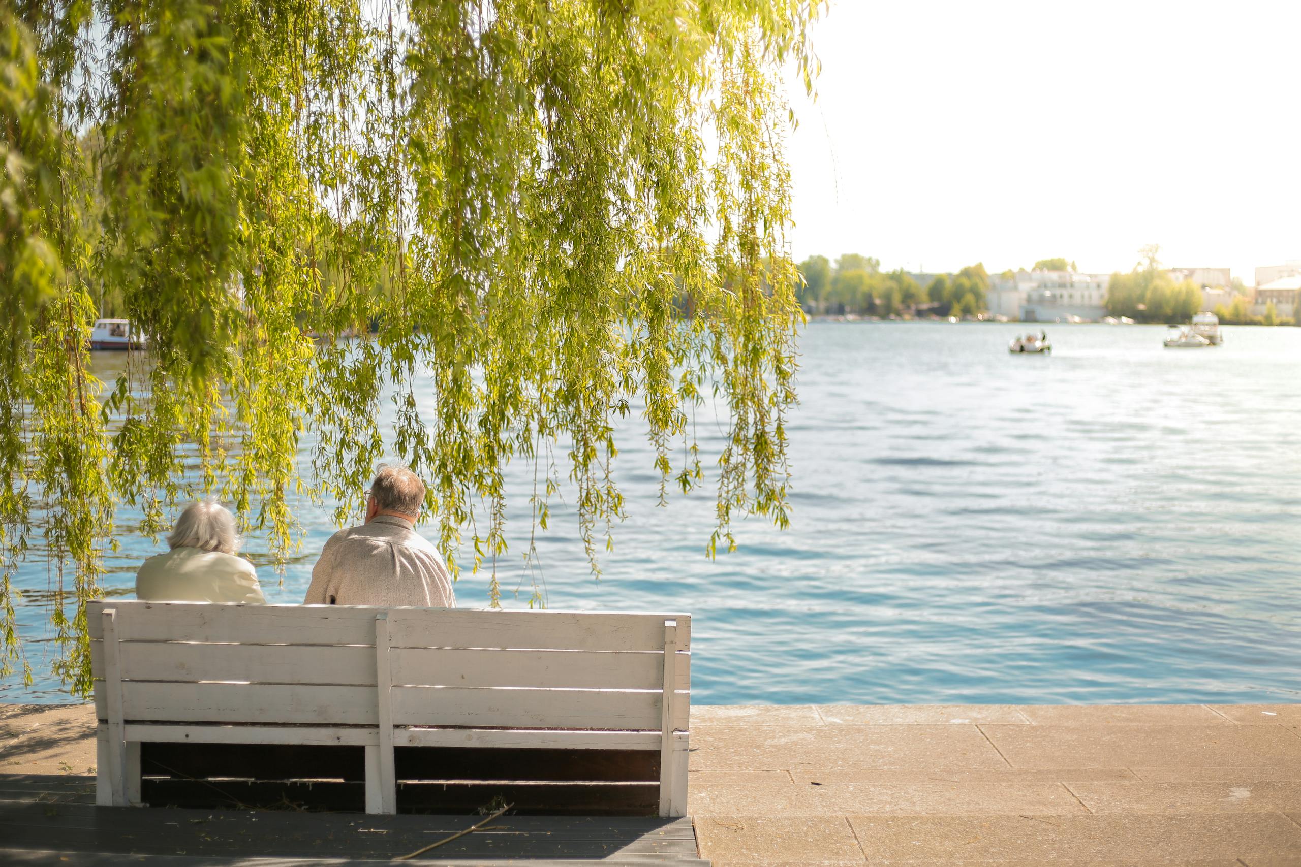 Serene scene of an elderly couple sitting on a bench by a lakeside under a willow tree.