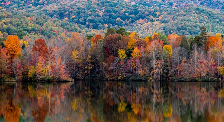 Vibrant autumn foliage reflecting in a serene lake in Blue Ridge, GA, showcasing the beauty of nature's colors.