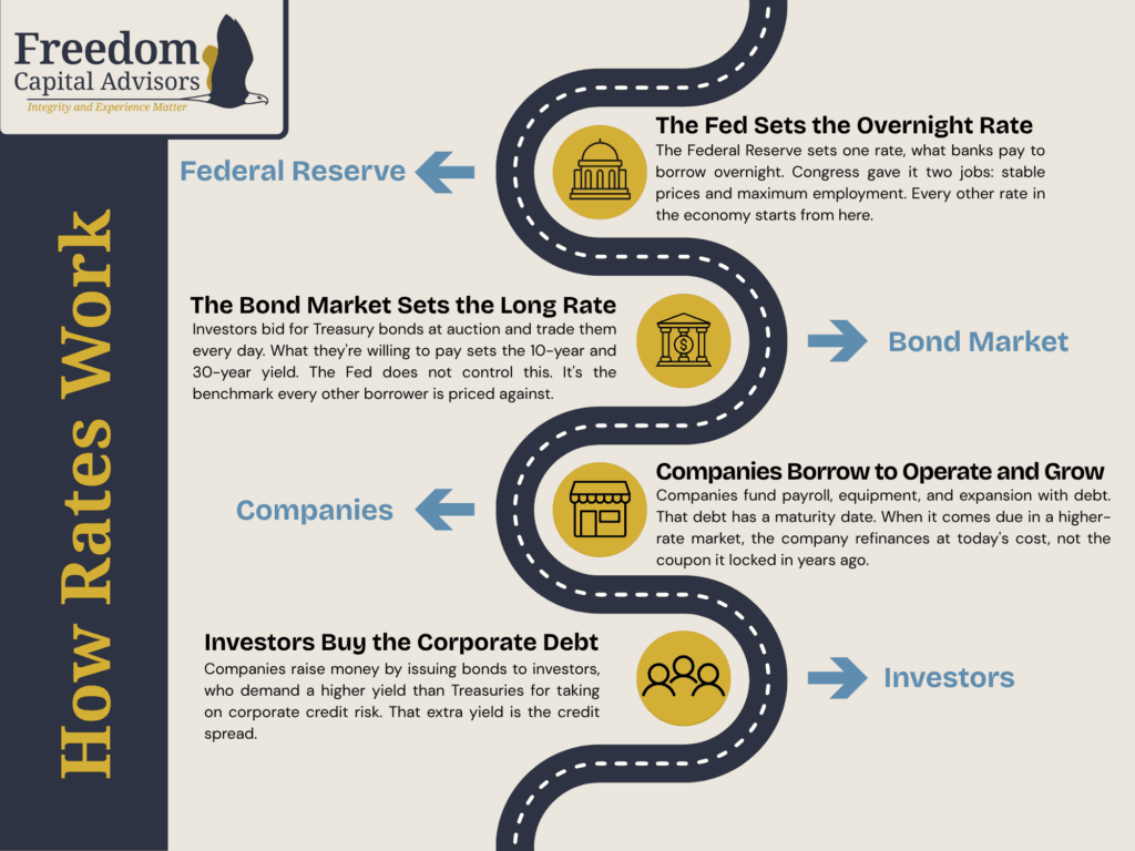 Long term interest rates flow chart showing how the Federal Reserve sets the overnight rate, the bond market sets the 10-year and 30-year Treasury yield, companies borrow against that benchmark, and investors buy corporate bonds at a credit spread above Treasuries.
